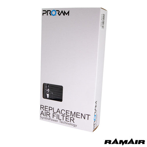 PPF-9771 - Mercedes Replacement Pleated Air Filter - 2 Quantity - RAMAIR