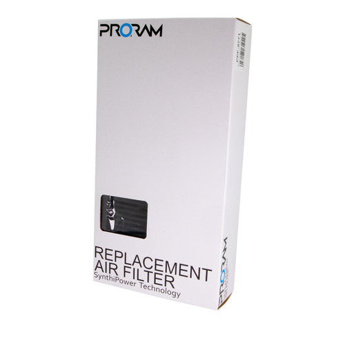 PPF-9771 - Mercedes Replacement Pleated Air Filter - 2 Quantity - RAMAIR