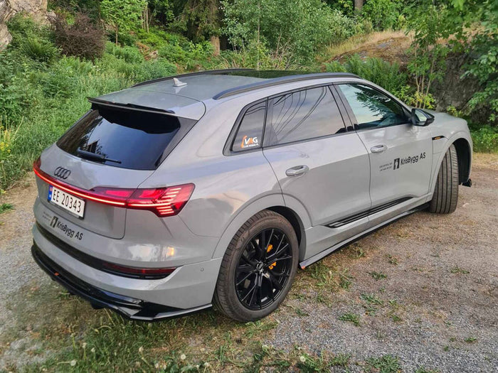 Audi e-Tron S-Line Central Rear Splitter (Vertical Bars) - Maxton Design