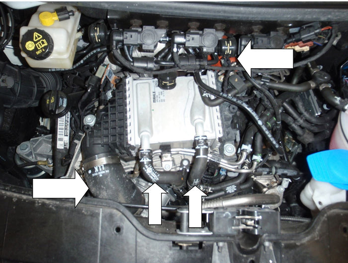 Volkswagen T6 - Chargecooler Replacement Hose Kit - Forge Motorsport