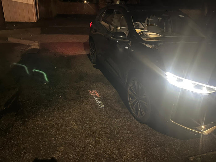 Ford Kuga MK3 / MK3.5 ST-Line LED Puddle Light – ST Line Logo Projection