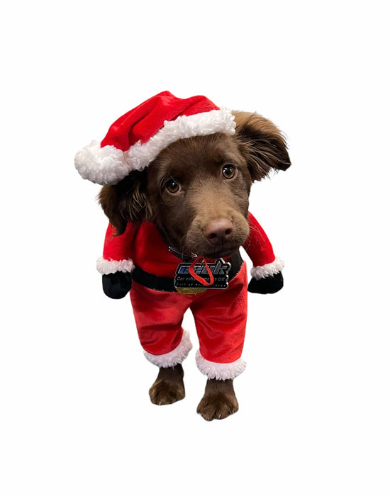 Festive Fudge Dog Air Freshener – Christmas Edition | CEUK