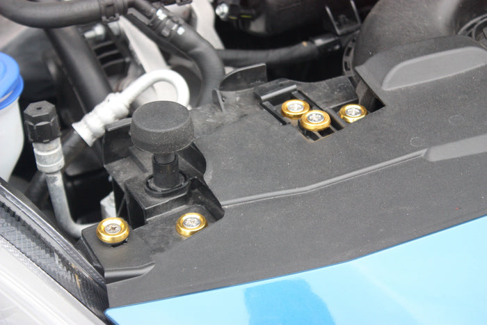 Fiesta MK8 & MK8.5 Engine Bay Dress-Up Kit | Anodized Washers & Stainless Screws | CEUK