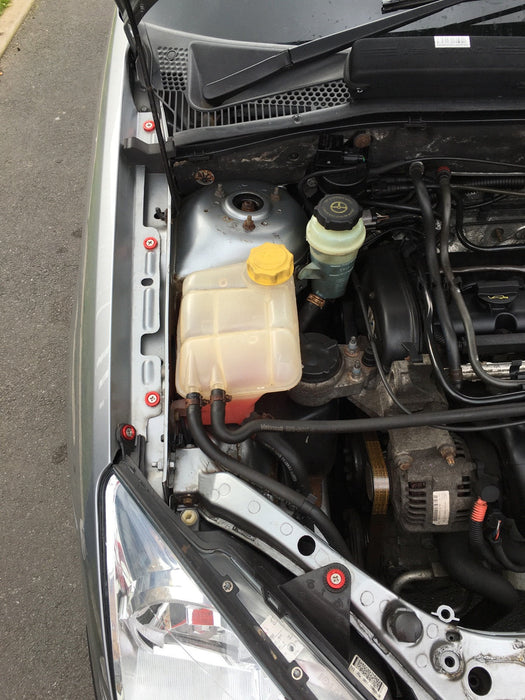 Ford Focus MK1 - Engine Bay Dress-Up Kit – Anodised Washers | CEUK