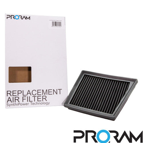 PPF-9787 - Ford Replacement Pleated Air Filter - RAMAIR