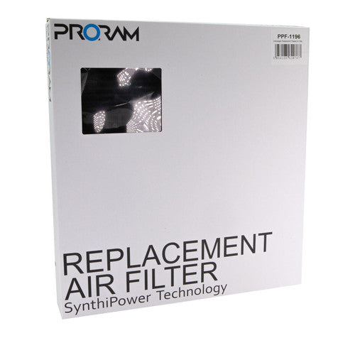 PPF-1196 - Volkswagen Replacement Pleated Air Filter - RAMAIR